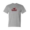DryBlend® T-Shirt Thumbnail